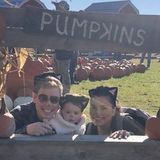 Occasional babysitter for 18month old toddler needed!