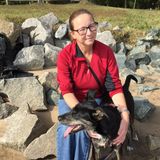 Loving Pet Sitting Available for kitties and doggies