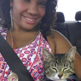 Experienced Pet Sitter
