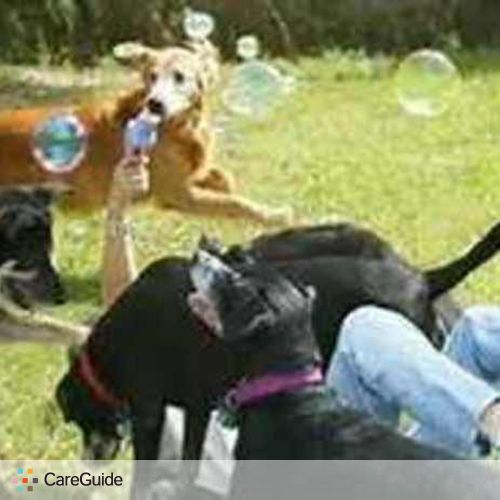 Pet Care Provider Kim H's Profile Picture