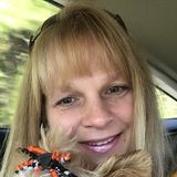 Searching for a Home Cleaner Opportunity in Spring Hill,FL