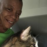 North Shore Cat Lady