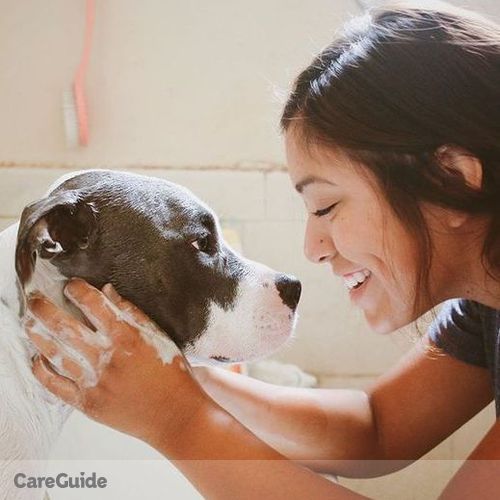 Pet Care Provider Jackie Zacarias's Profile Picture