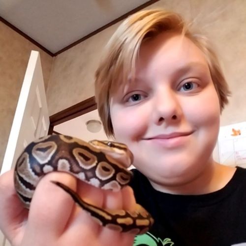 Pet Care Provider Cheyenne K's Profile Picture