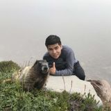 Im a positive individual wanting to make sure people's homes and pets are well taken care of when they aren't able to.