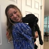 Capable House Sitter for Hire