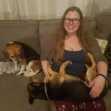 Pet Sitting Offered in Sturgeon County