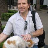 Professional Personal Assistant / House-Sitter / Driver / Communications