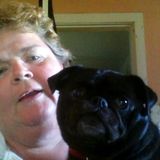 Interviewing For Thunder Bay Dog Walker, Ontario Jobs
