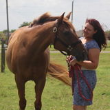 Caring, Experienced, Pet Owner Looking to Help You