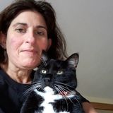 Hi there my name is Lori and playing with your pets i walk and feed them and clean cat boxes
