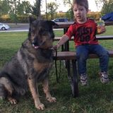 Treat your dog like member of our family
