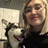 Professional sitter for your pets needs!