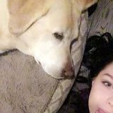 Energetic, animal loving, pet sitter with flexible availability