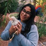 Available: Wonderful Pet Care Provider in Las Vegas, Nevada