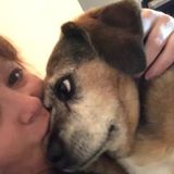 Experienced Animal Caregiver in Irving