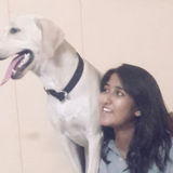 Dependable and loving pet sitter - available immediately