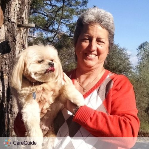 Pet Care Provider Diane H's Profile Picture