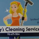Knowledgeable Home Cleaner in Savannah, Georgia