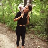 Recently relocated to Ashland from Nashville, looking to take care of your pets!