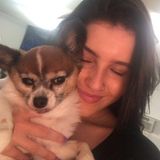 Providing Cuddles Not Cages