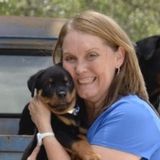 Pet Sitting, Dog Walking, Overnight, Dog Training