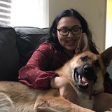 I am looking to help out a family who needs pet walking or sitting services!