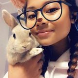 Bunny Sitter!