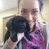 Vet Tech Promising the Best Care for Your Best Friends!