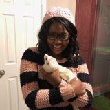 Hi! I'm Tiara, and I'm a self proclamied crazy cat lady and animal lover.
