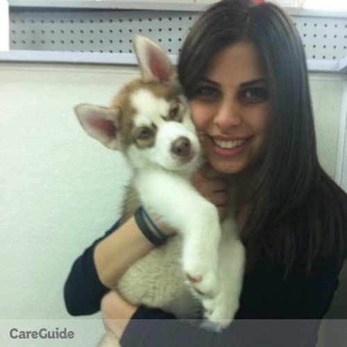 Pet Care Provider Michelle Feghali's Profile Picture