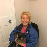 Medford Dog Walker Seeking Job Opportunities in Massachusetts