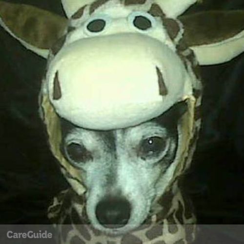 Pet Care Provider Alison J's Profile Picture