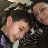 I am an animal lover, l am first Aid and cpr certified.