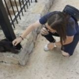 Passionate and loving Pet Service Provider in Laval, Quebec