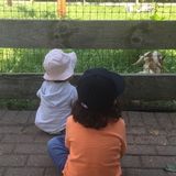 Qualified Babysitter Needed Immediately