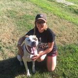 Kent Animal Caregiver Interested In Being Hired