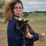 For Hire: Hard Working House Sitter in Waxahachie