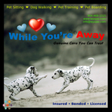 Jacksonville Florida's 1 Pet Sitter - Genuine Care You Can Trust