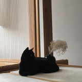 Seeking Vacation Boarding For Social Cat