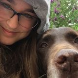 For Hire: Skilled Animal Caregiver in Calgary, Alberta