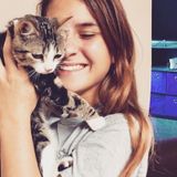 Animal Lover / Pet Sitter