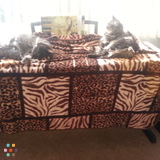 Pet sitting/Pet walking