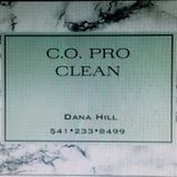 C.O. PRO CLEAN
Residential and commercial services.