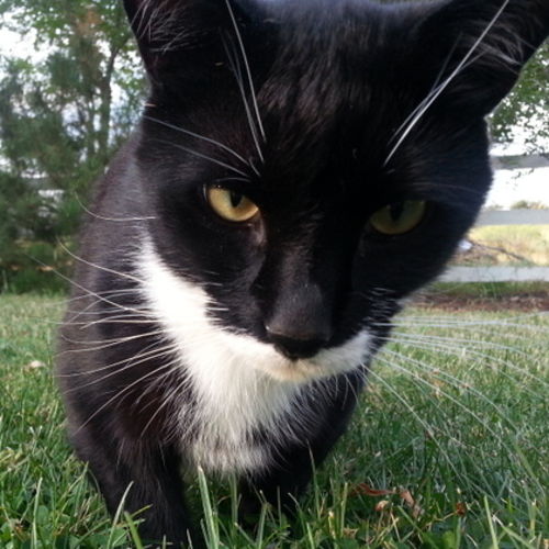 House Sitter Job Rita G's Profile Picture