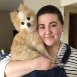 Here for all your pet needs!