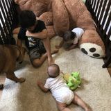 Winnipeg Baby Sitter Looking For Being Hired
