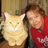 For Hire: Hardworking House/ Pet Sitting in Prescott/ PV area