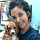 Animal lover providing cat/dog/rodent sitting, dog bathing and dog walking services!