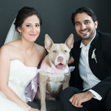 Must love Pitbulls :)